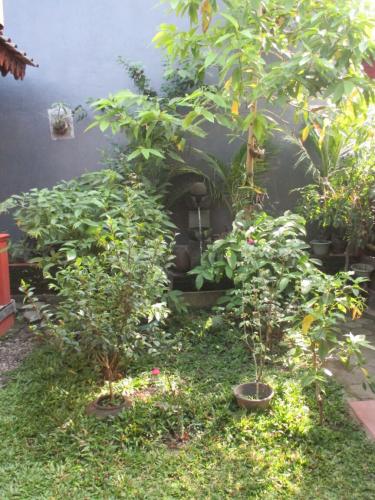 WhatsApp Image 2018-05-30 at 13.01.21